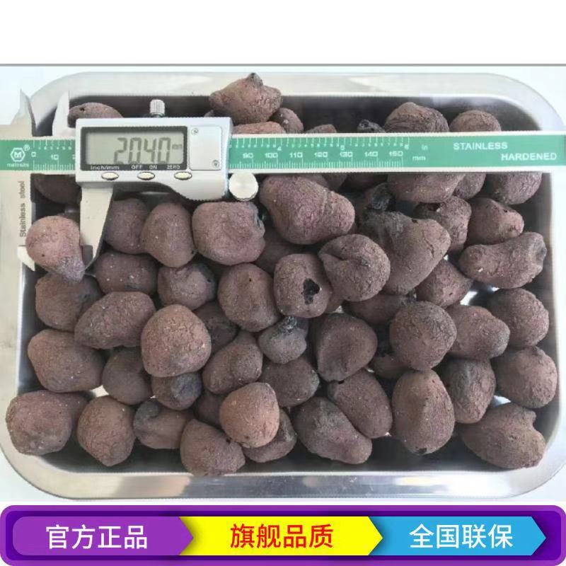 天津強順陶粒廠，*惠，送貨上門