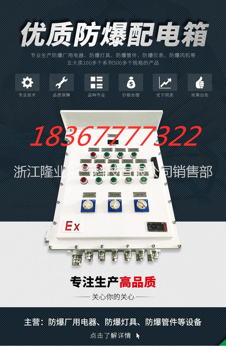 防爆配電箱