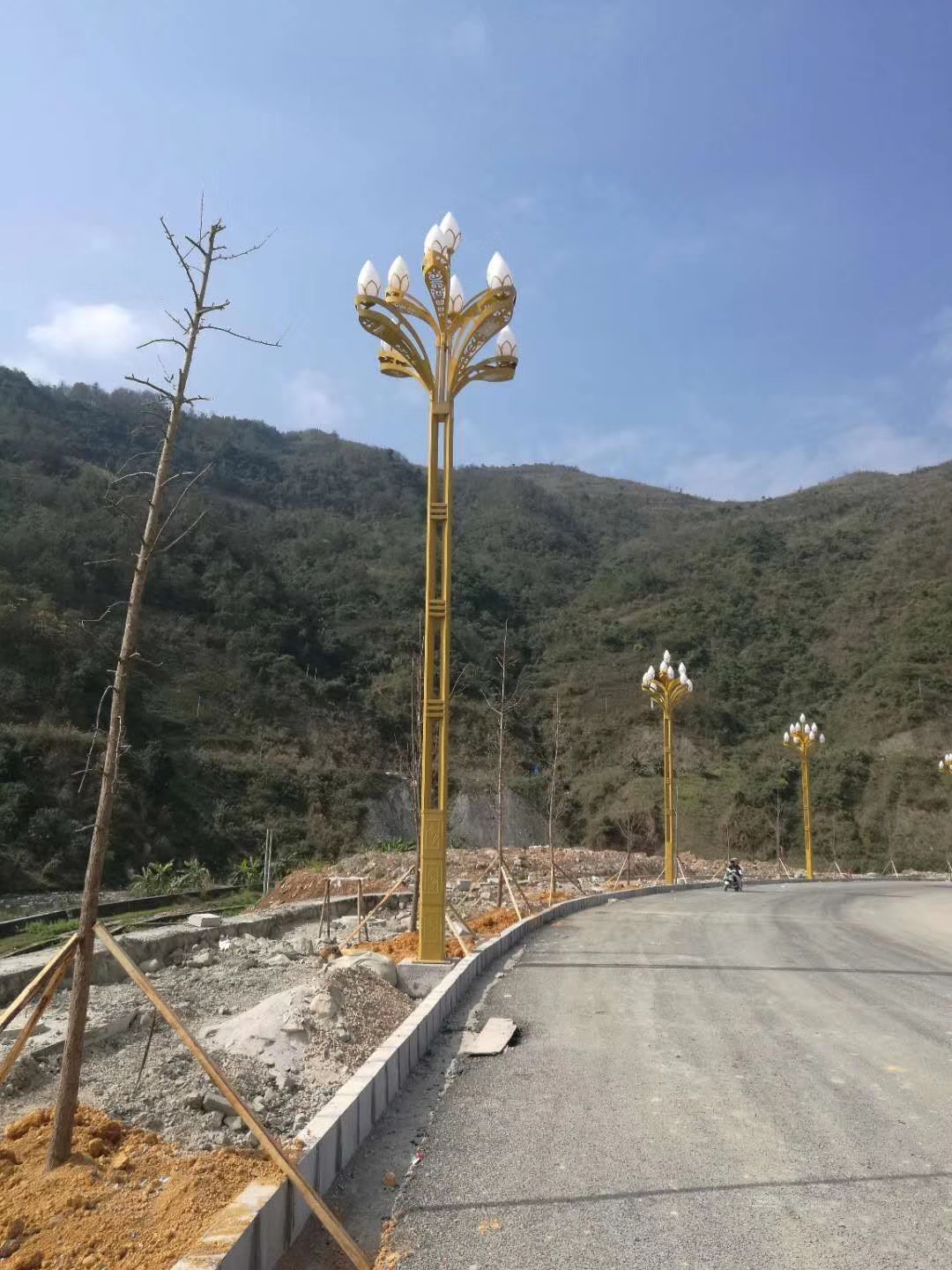 LED玉蘭燈庭院戶(hù)外燈中華道路燈