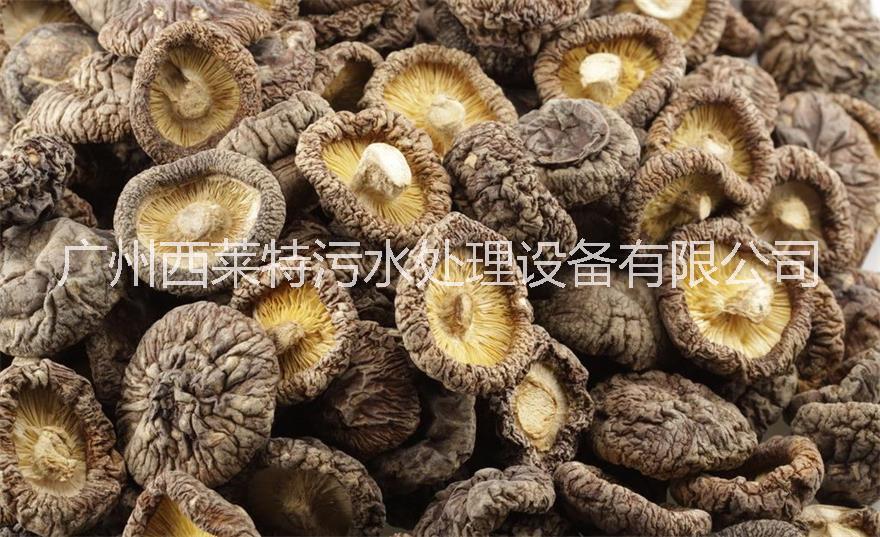 香菇熱泵烘干機(jī) 香菇空氣能烘干機(jī)
