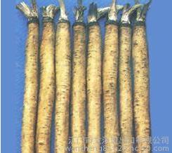 牛蒡，中藥材牛蒡的價格，貴州中藥材商家，牛蒡的功效