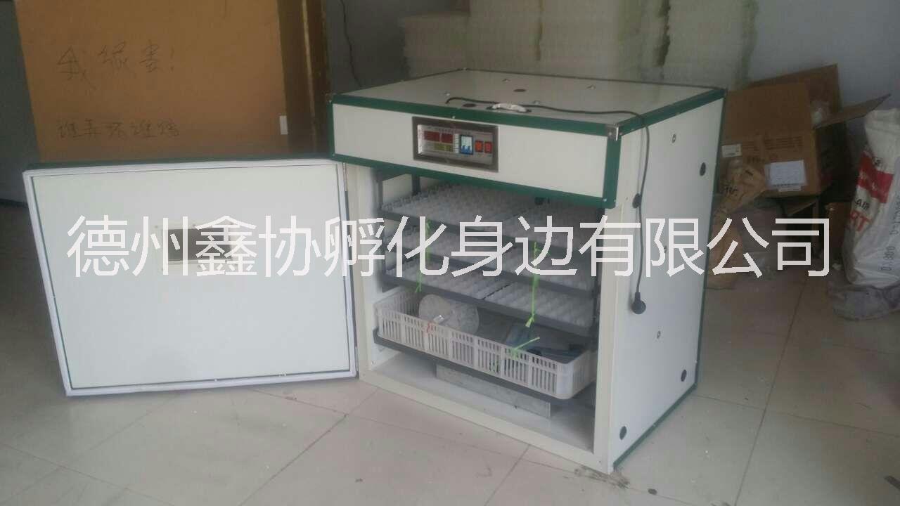 孵化機(jī)多少錢一臺(tái)孵化箱價(jià)格孵化機(jī)價(jià)格