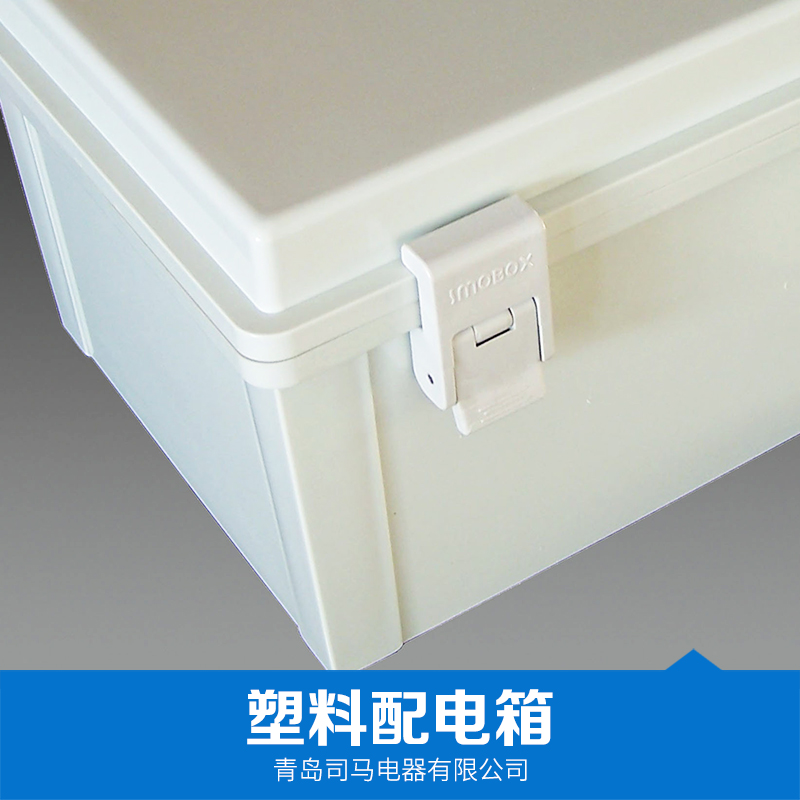 塑料配電箱 塑料配電箱價(jià)格 防水配電箱 現(xiàn)貨供應(yīng) 品質(zhì)保證