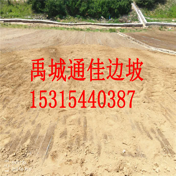 定制加工四川成都河道護(hù)坡加筋生態(tài)毯 抗沖生態(tài)毯