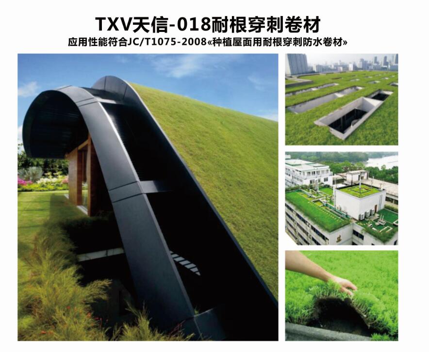 天信聚合物改性瀝青耐根穿刺防水卷材