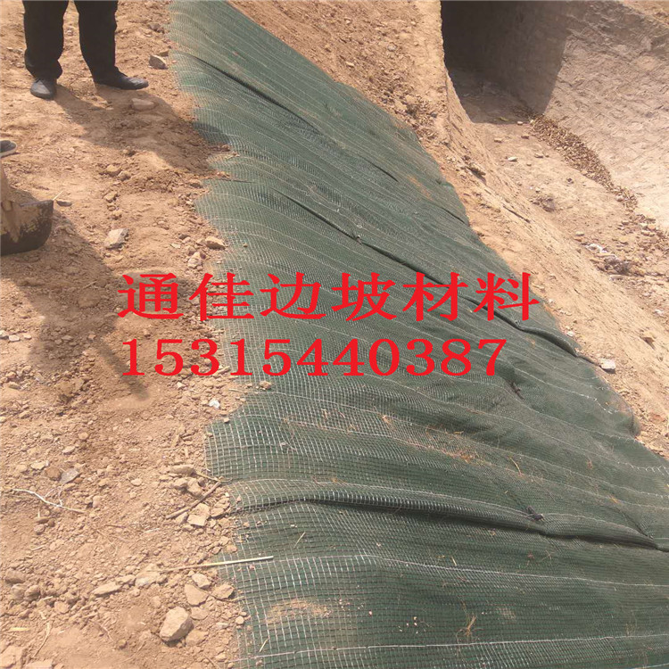 *四川環(huán)保抗沖生態(tài)毯  加筋防沖毯  環(huán)保綠化