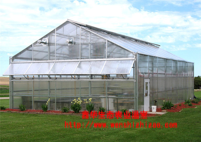 陽光板溫室+陽光板溫室建造+陽光板溫室報價