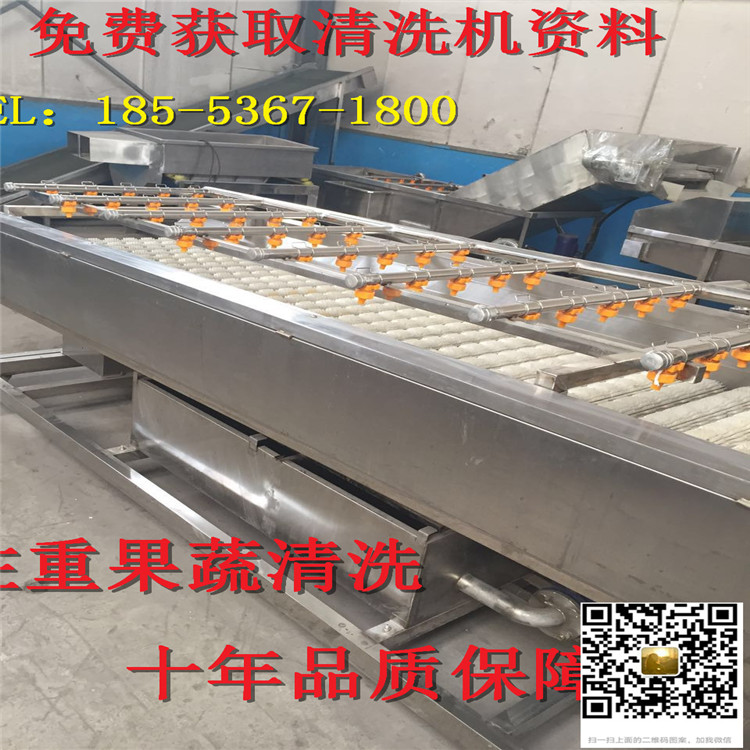 2000型硬毛輥清洗機(jī)