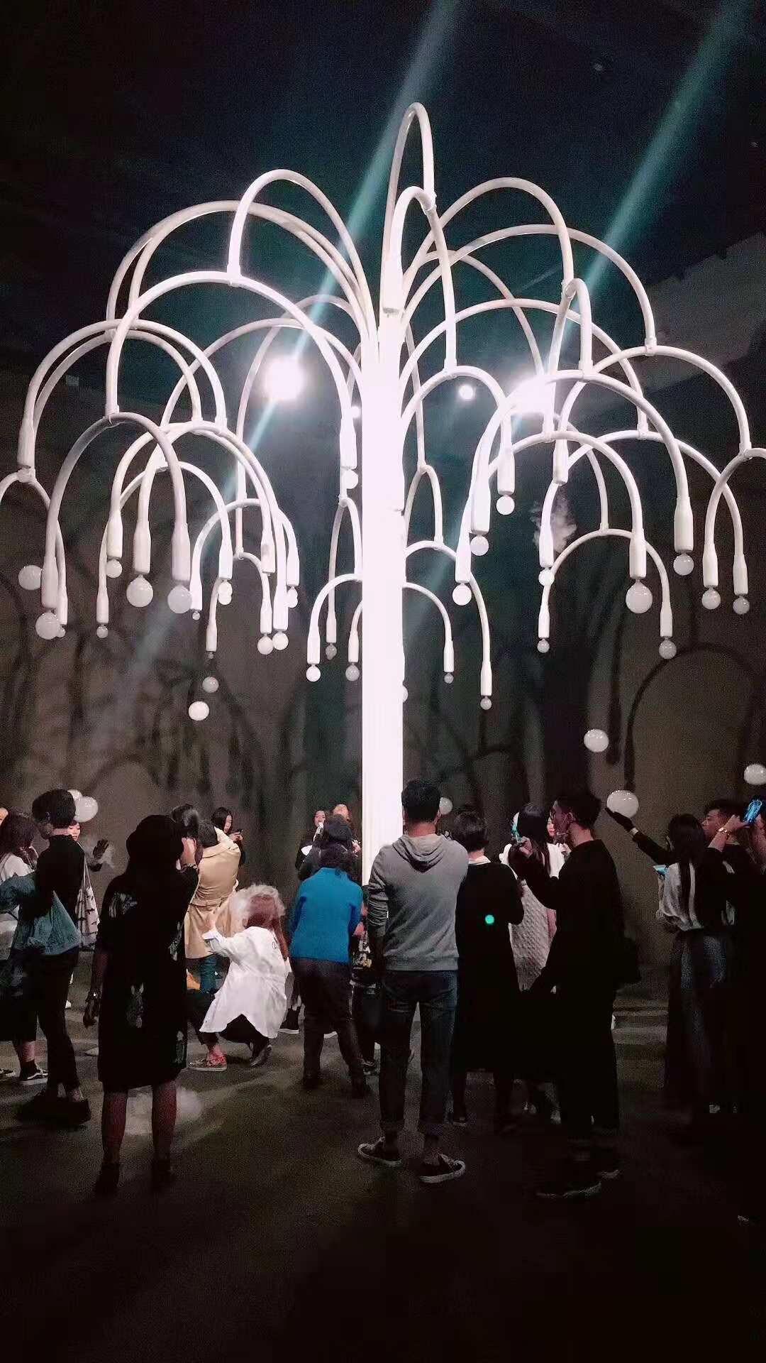 煙泡樹，會吐泡泡的煙泡樹公司一手貨源出租出售