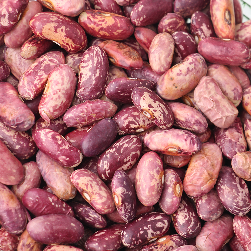 玻利維亞白藜麥