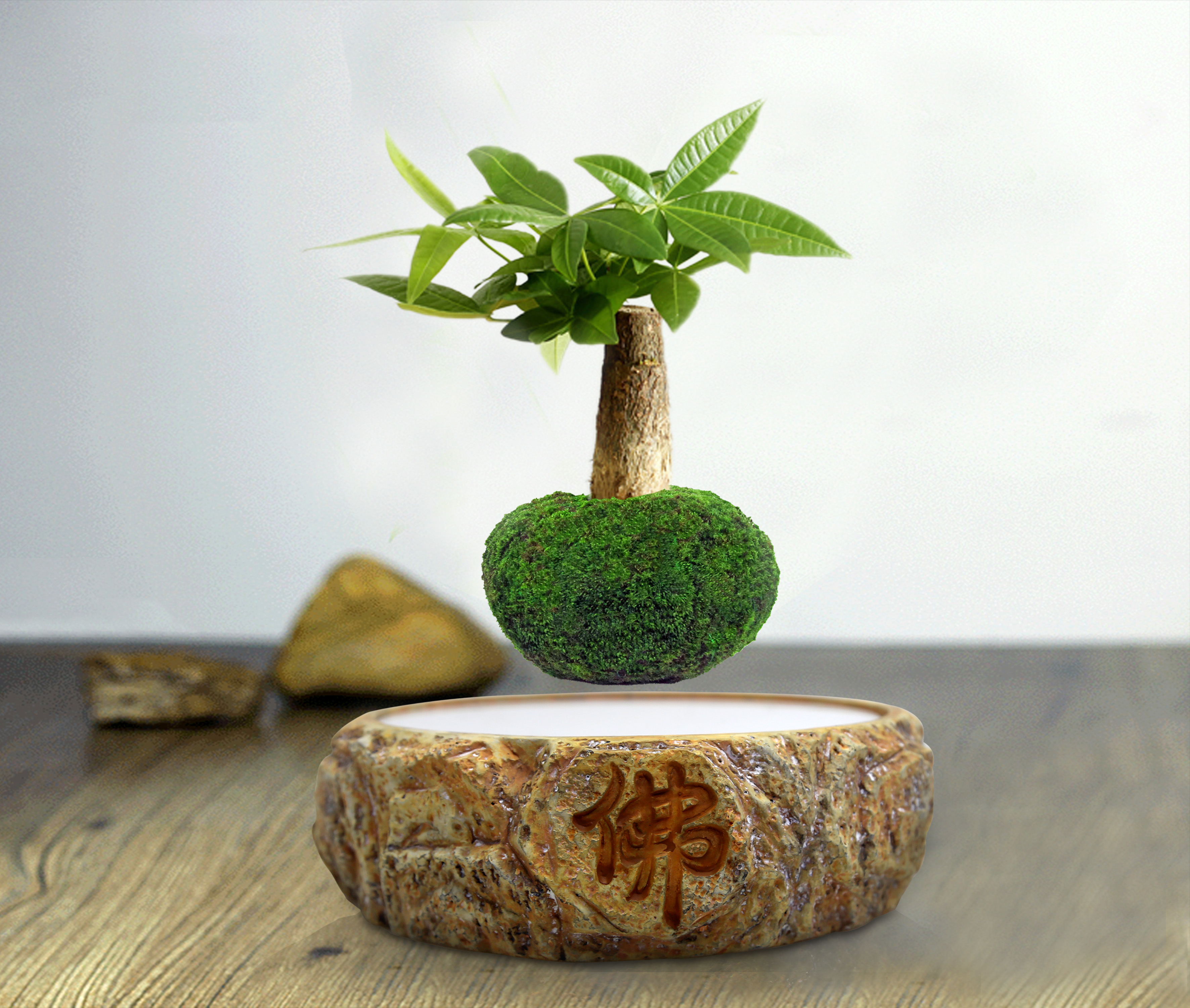 2019新奇特創(chuàng)意新產(chǎn)品 磁懸浮定制盆栽磁懸浮盆栽