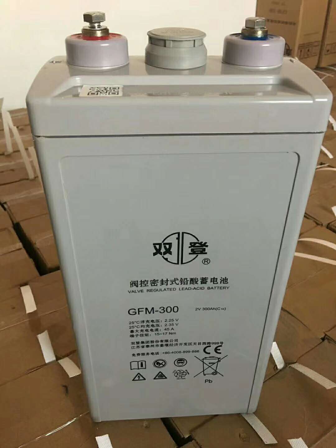 雙登蓄電池12V100AH UPS電源用電池 儲能型電池報價