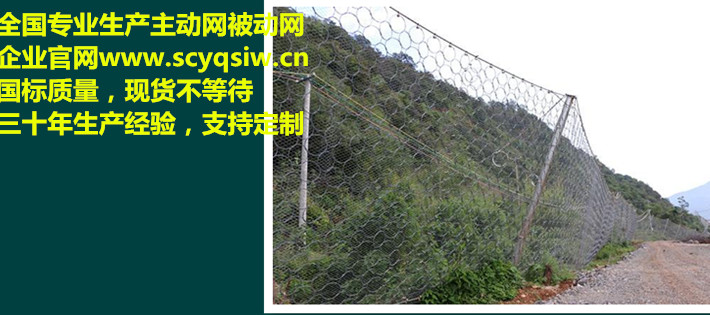 重慶被動網(wǎng)丨RXI100被動網(wǎng)丨RXI200被動網(wǎng)廠家