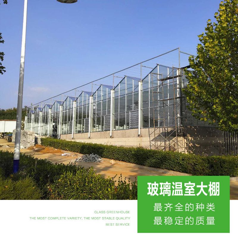 山東休閑玻璃溫室建造施工
