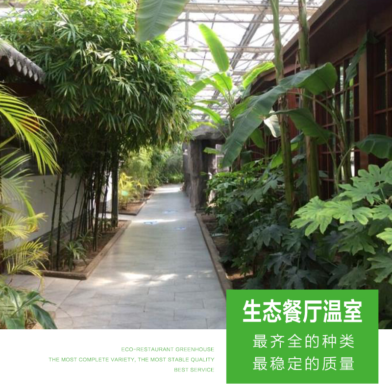 山東生態(tài)餐廳廠家-價(jià)格