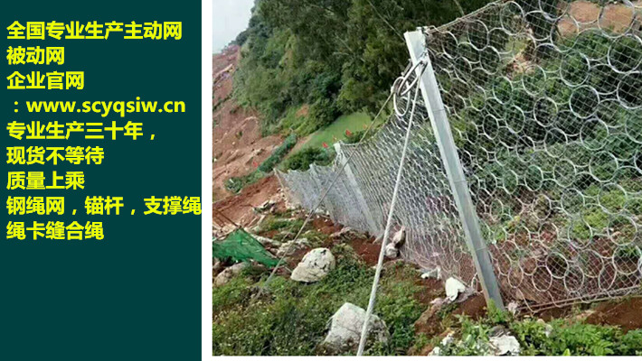 RXI-150 丨RXI-150被動網(wǎng)廠家 丨RXI-150被動網(wǎng)價格