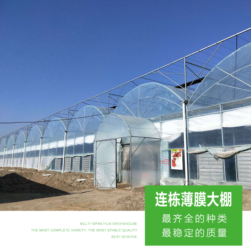 山東連棟薄膜溫室施工設(shè)計(jì)廠家