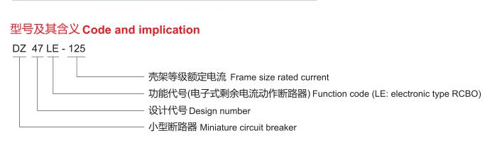 FSDZ47LE小型漏電斷路器DZ47LE-125/1P+N