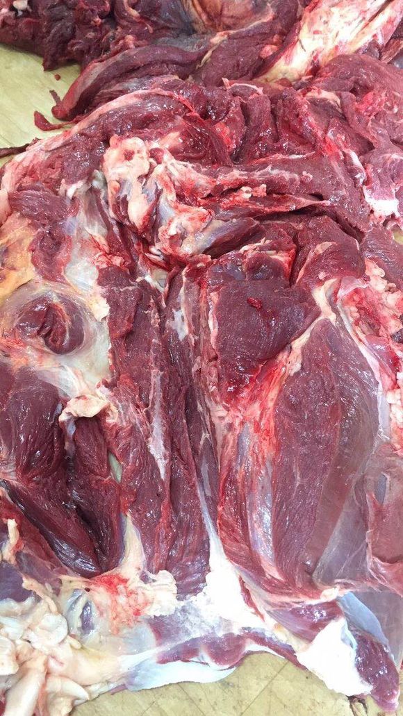 批量現(xiàn)貨進(jìn)口蒙古馬肉天然草原放養(yǎng)活馬屠宰新鮮凍馬肉
