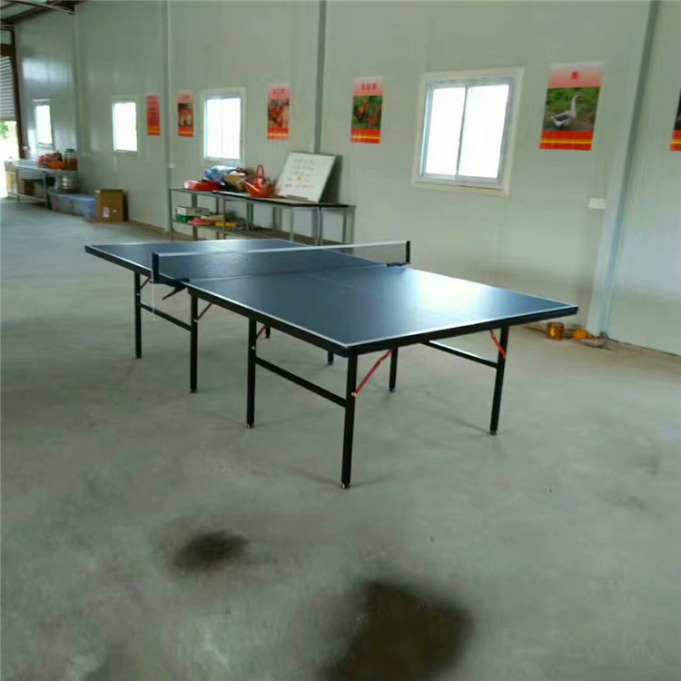 廠家直銷家商用折疊式室內(nèi)乒乓球臺望牛墩乒羽球運動501乒乓球桌 乒乓球臺生產(chǎn)廠家直銷乒乓球器材