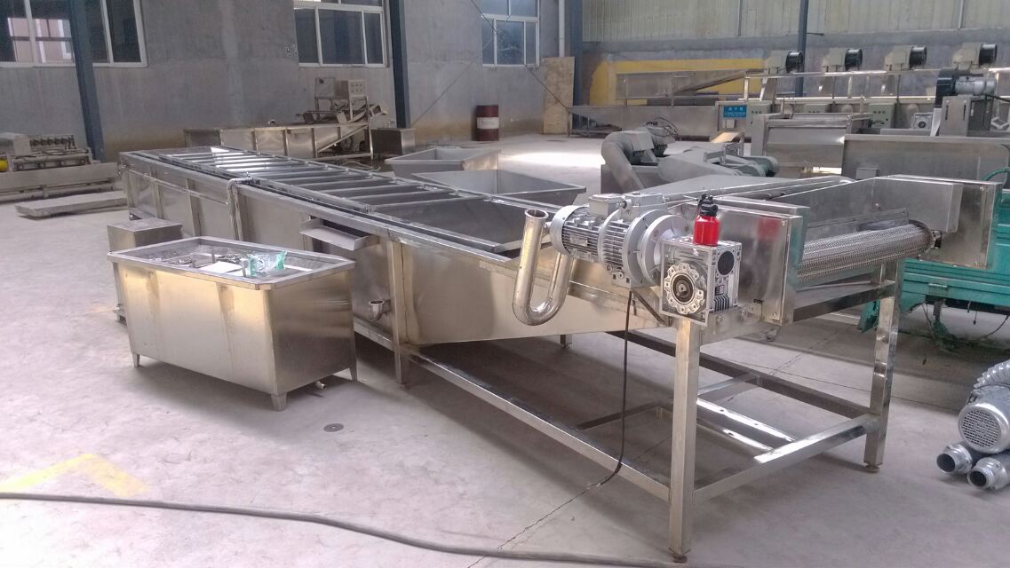 大棗鼓泡清洗機(jī)