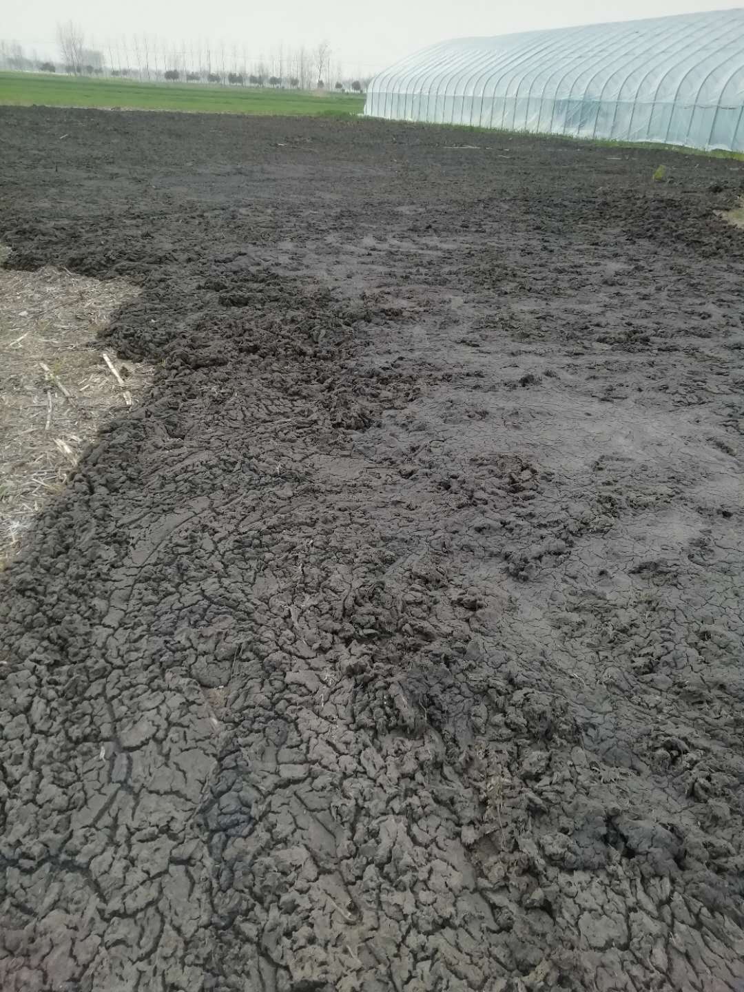 干雞糞 干雞糞價格 雞糞 干雞糞直銷 江蘇干雞糞直銷廠家  江蘇干雞糞廠家直銷 江蘇雞糞供應(yīng)商 純干雞糞 有機(jī)肥