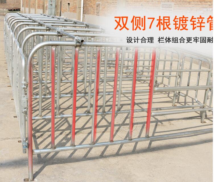 母豬限位欄定位欄包郵養(yǎng)豬設(shè)備母豬產(chǎn)床仔豬保育床豬用護欄母豬欄體廠家