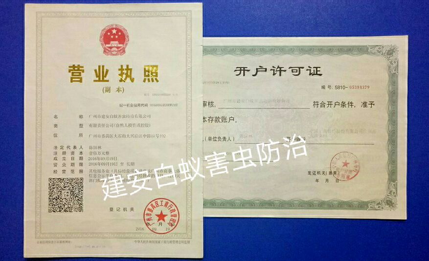 番禺專業(yè)滅白蟻,番禺殺蟲滅鼠