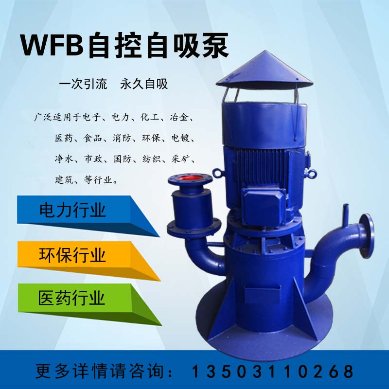 自控自吸泵80WFB-BD化工泵脫硫循環(huán)泵污水泵
