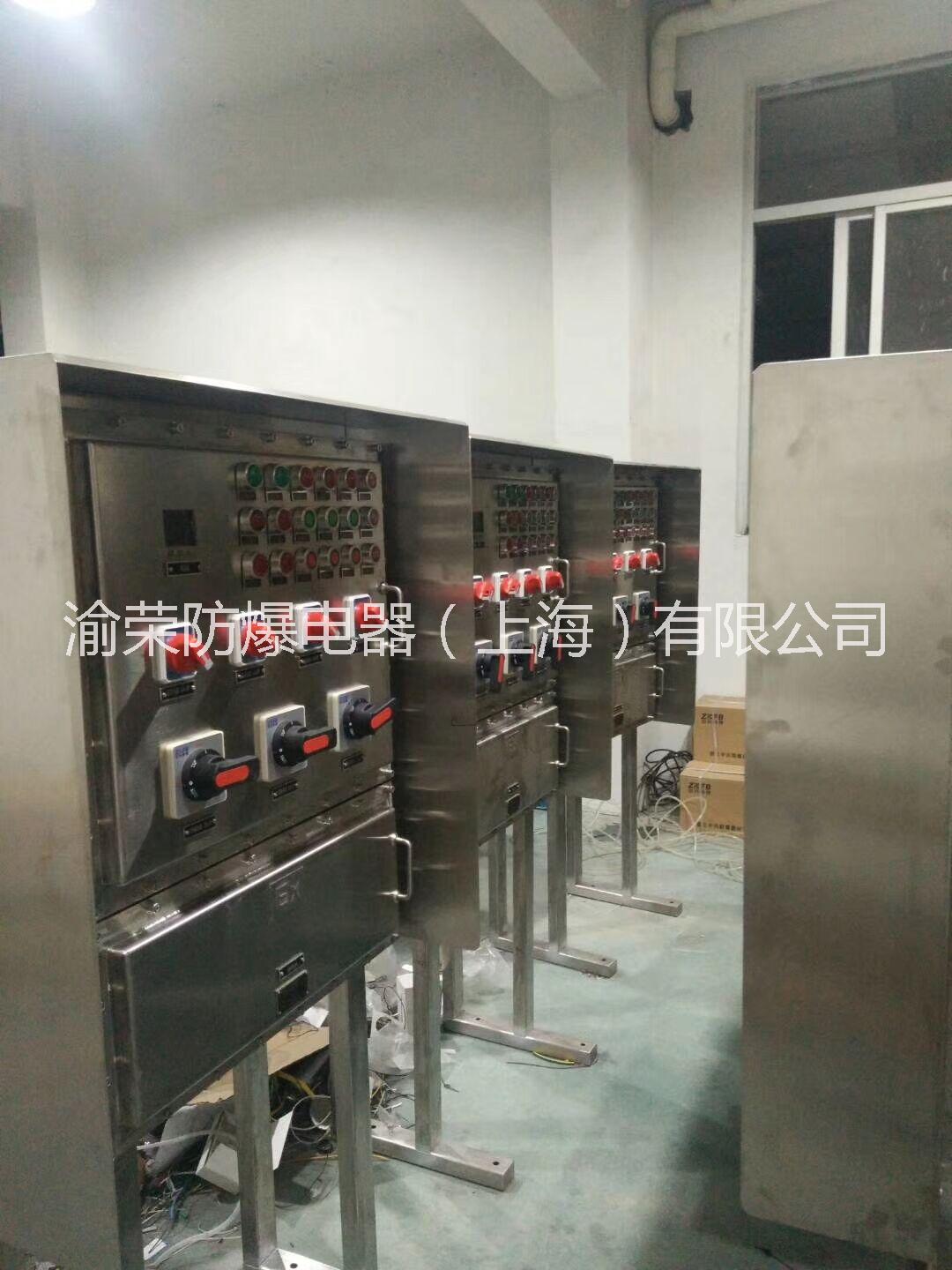上海渝榮專業(yè)粉塵防爆箱定做
