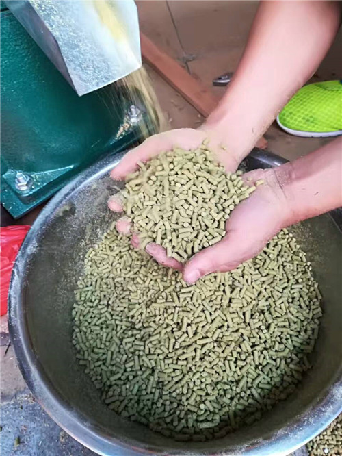 青飼料顆粒機(jī) 干粉料顆粒機(jī) 玉米粉制粒機(jī)