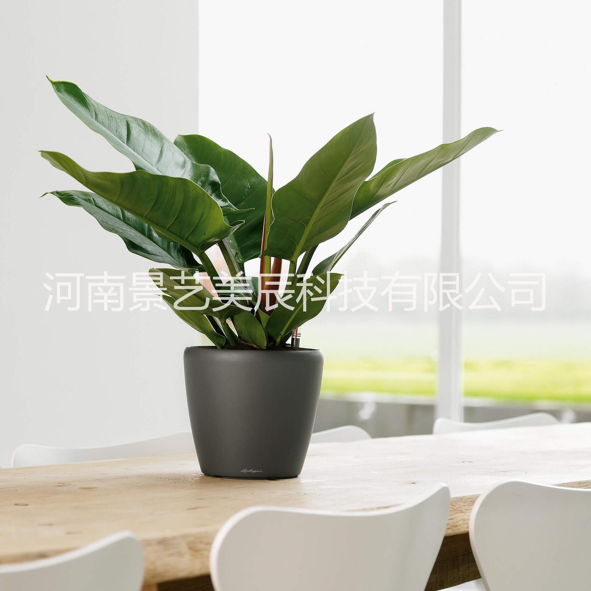 矮胖圓型YM-16