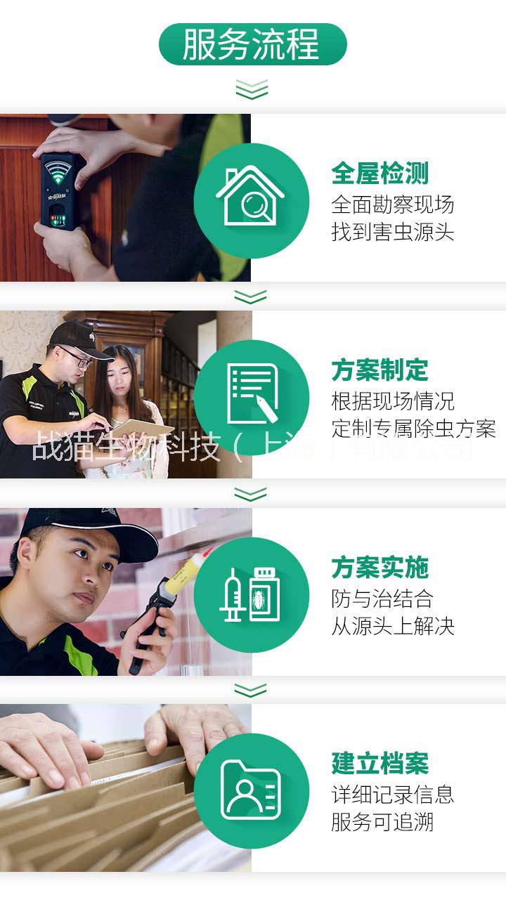 上門滅跳蚤 家庭滅跳蚤藥殺蟲粉劑 家庭上門滅跳蚤藥