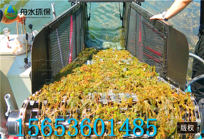 全自動(dòng)清掃保潔船簡(jiǎn)介 水草泛濫怎么辦 垃圾打撈船現(xiàn)貨出售出租