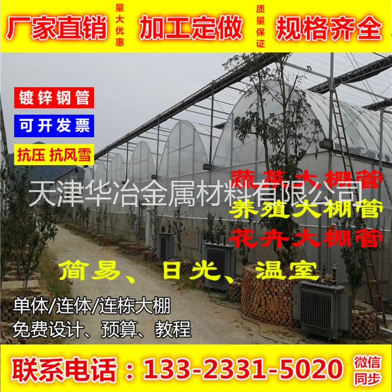 連棟大棚 玻璃溫室 薄膜溫室 日光溫室 大棚骨架 蔬菜大棚管