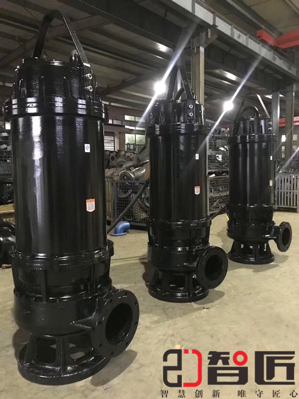 天津智匠批量供應(yīng)抗旱排澇潛水泵