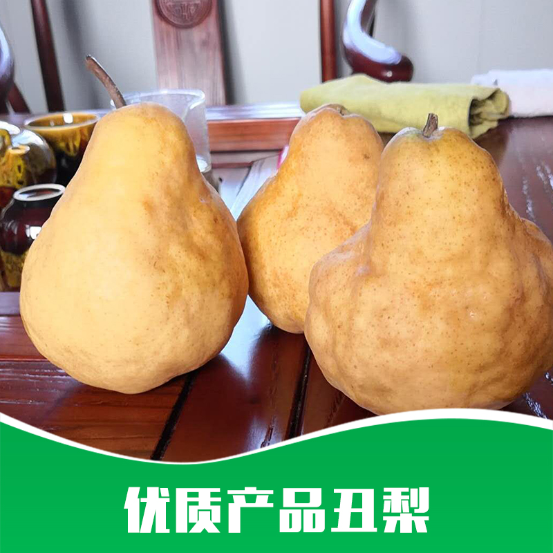 丑梨 丑梨批發(fā)商 丑梨批發(fā)價格 丑梨批發(fā)哪家好 山東丑梨供應(yīng)商 丑梨供貨商 丑梨水果攤供應(yīng)