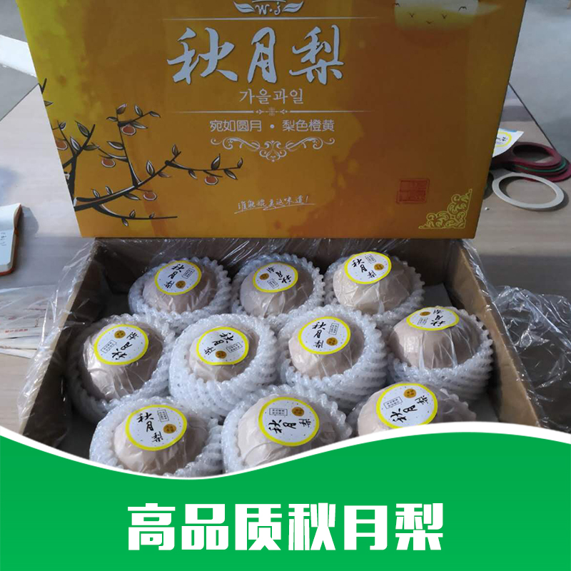 秋月梨 秋月梨基地 秋月梨批發(fā)