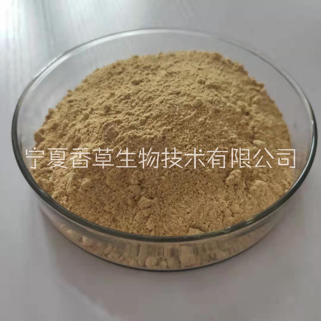 分心木提取物 生產(chǎn)廠家 核桃芯木粉批發(fā)價(jià)格/供應(yīng)商