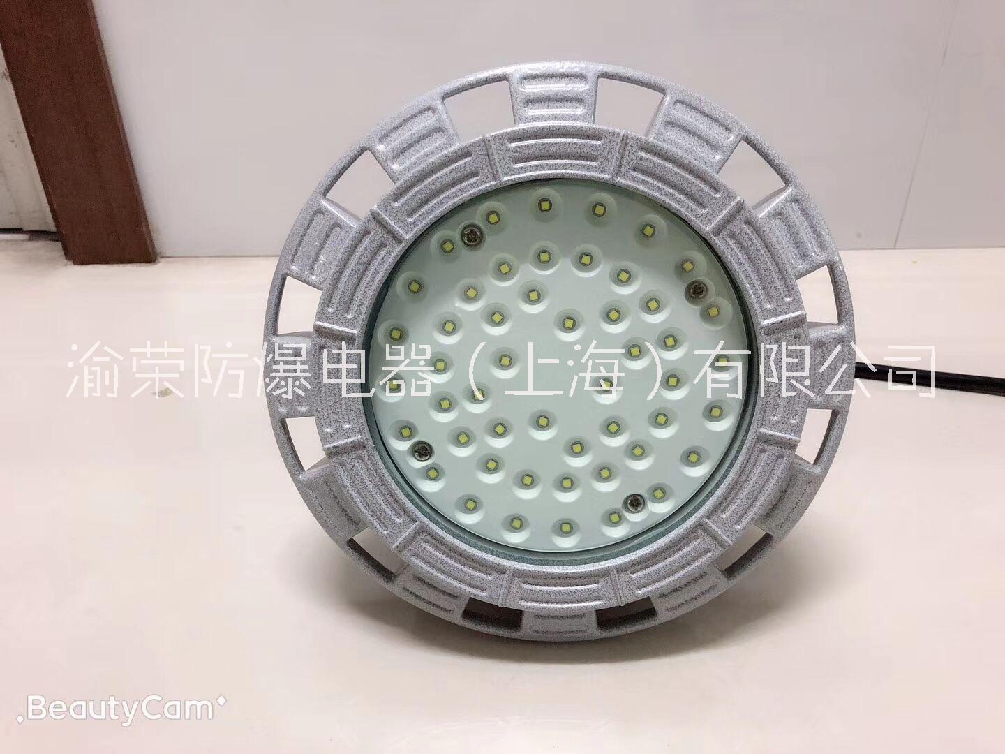 上海渝榮新款LED粉塵免維護(hù)防爆燈特價(jià)