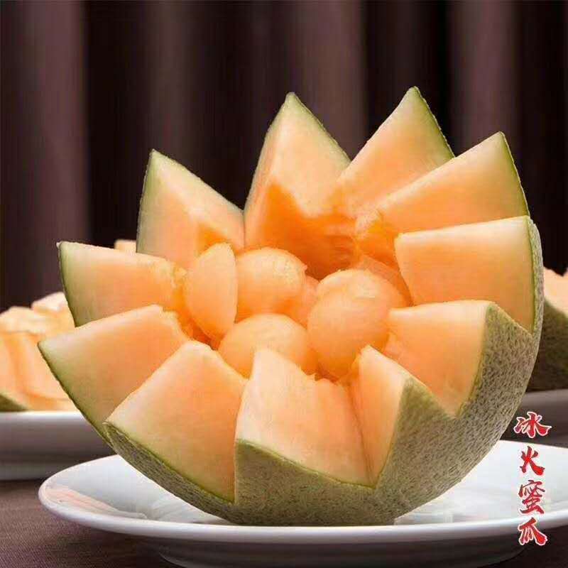 新疆哈密瓜 新疆吐魯番哈密瓜 哈密瓜  甜瓜