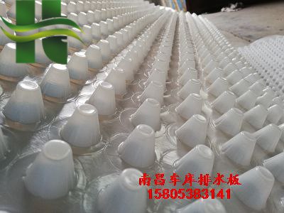 南昌屋頂綠化排水板HDPE排水板土工布供應(yīng) 南昌綠化排水板