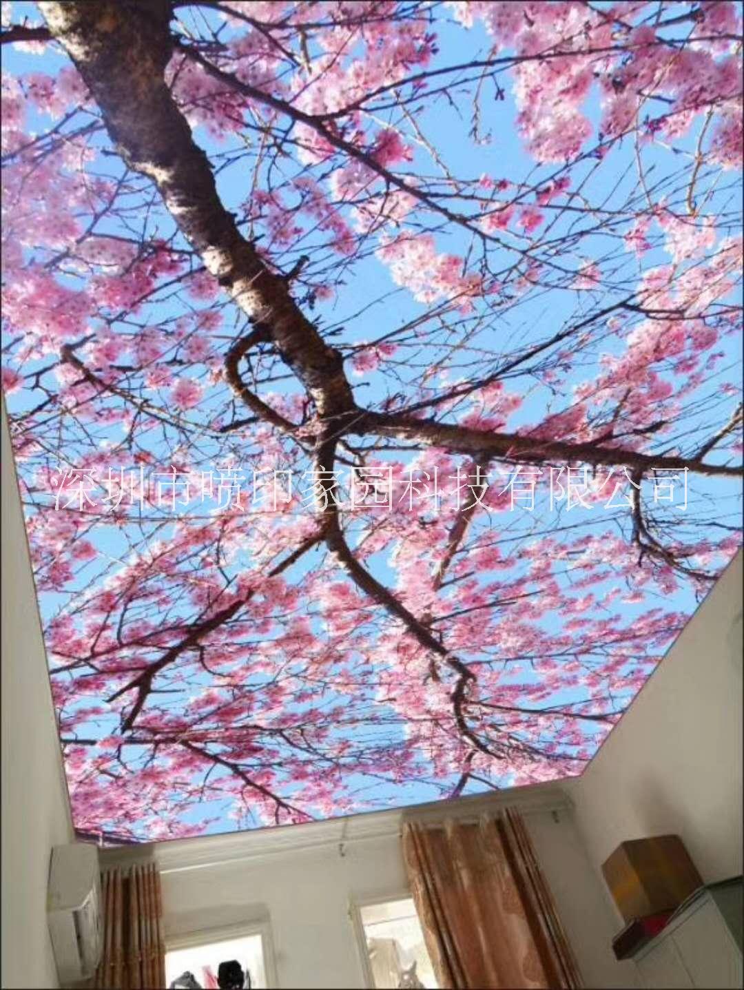 美國納智達(dá)UV墨水