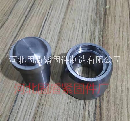 爬架網(wǎng)配件_爬架網(wǎng)連接件_小導(dǎo)輪_配套導(dǎo)輪軸|固盾爬架網(wǎng)配件廠 爬架網(wǎng)配件_爬架網(wǎng)導(dǎo)輪廠家