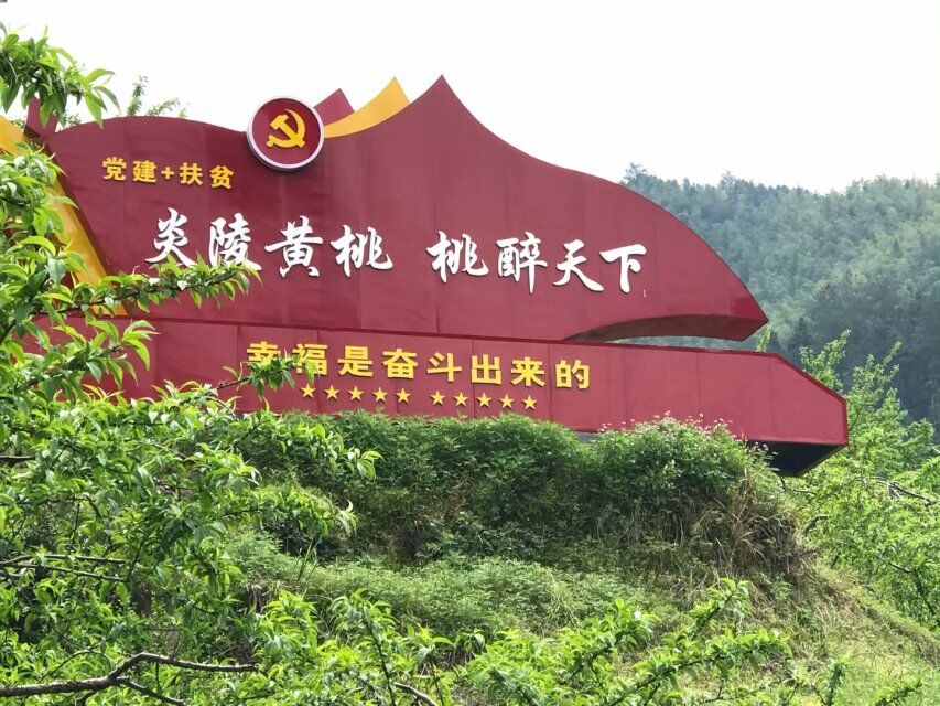 炎陵黃炎陵黃桃，不只是甜！誰吃誰知道哦！桃，不只是甜！誰吃誰知道哦