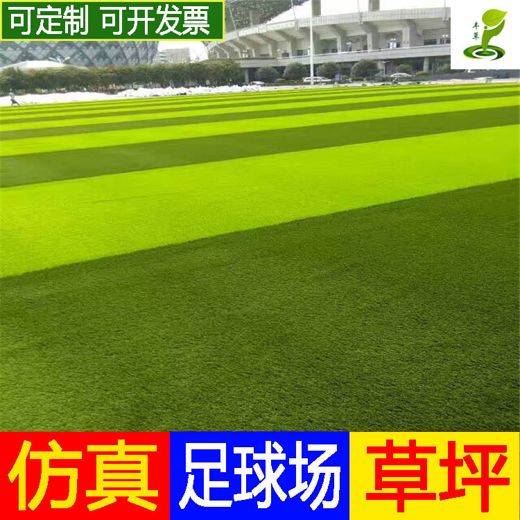 廣州豐草足球場綠色人造草坪運動場地仿真人工草學校操場綠色地毯草