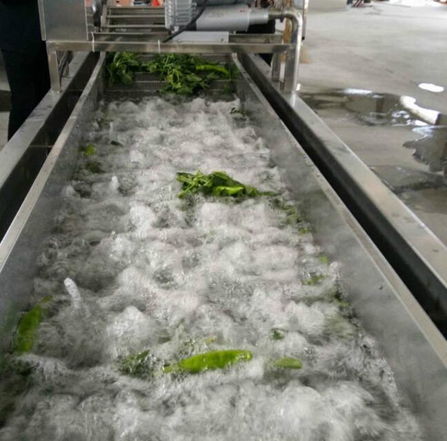 果蔬清洗風(fēng)干流水線  氣泡清洗、洗菜機(jī)、洗袋機(jī)