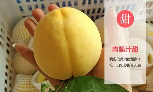 看一下炎陵黃桃是什么？?