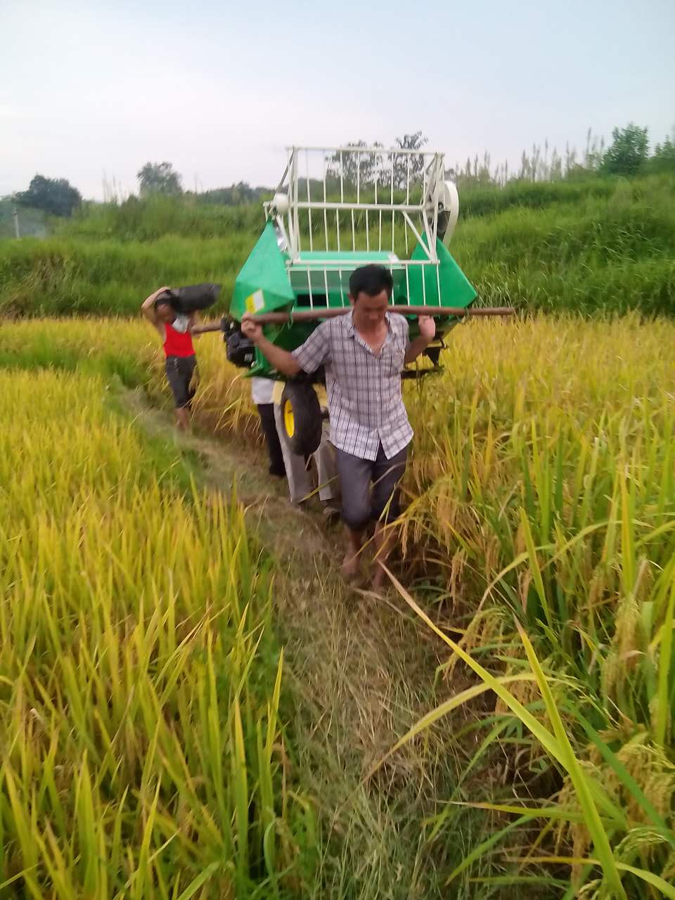 4LZ-0.3自走式稻麥聯(lián)合收割價(jià)格