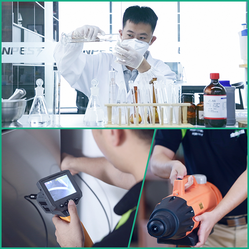 滅蟑螂 蟑螂藥  蟑螂全窩端 滅蟑螂公司蟑螂藥